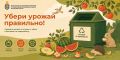В Электростали стартует акция «Сдай яблоки и бахчевые на переработку»