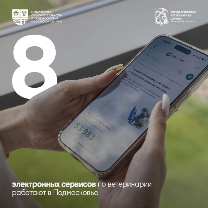Ветеринария – это призвание, которое выбирают сердцем Ветеринария – это призвание, которое выбирают сердцем
