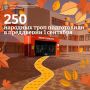 250 народных троп благоустроили к школам Подмосковья с начала года