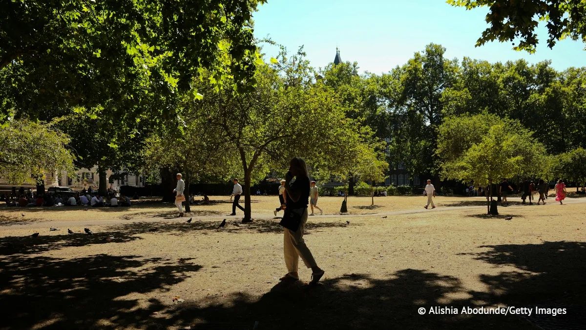 Лето 2026 года стало самым жарким в истории Британии