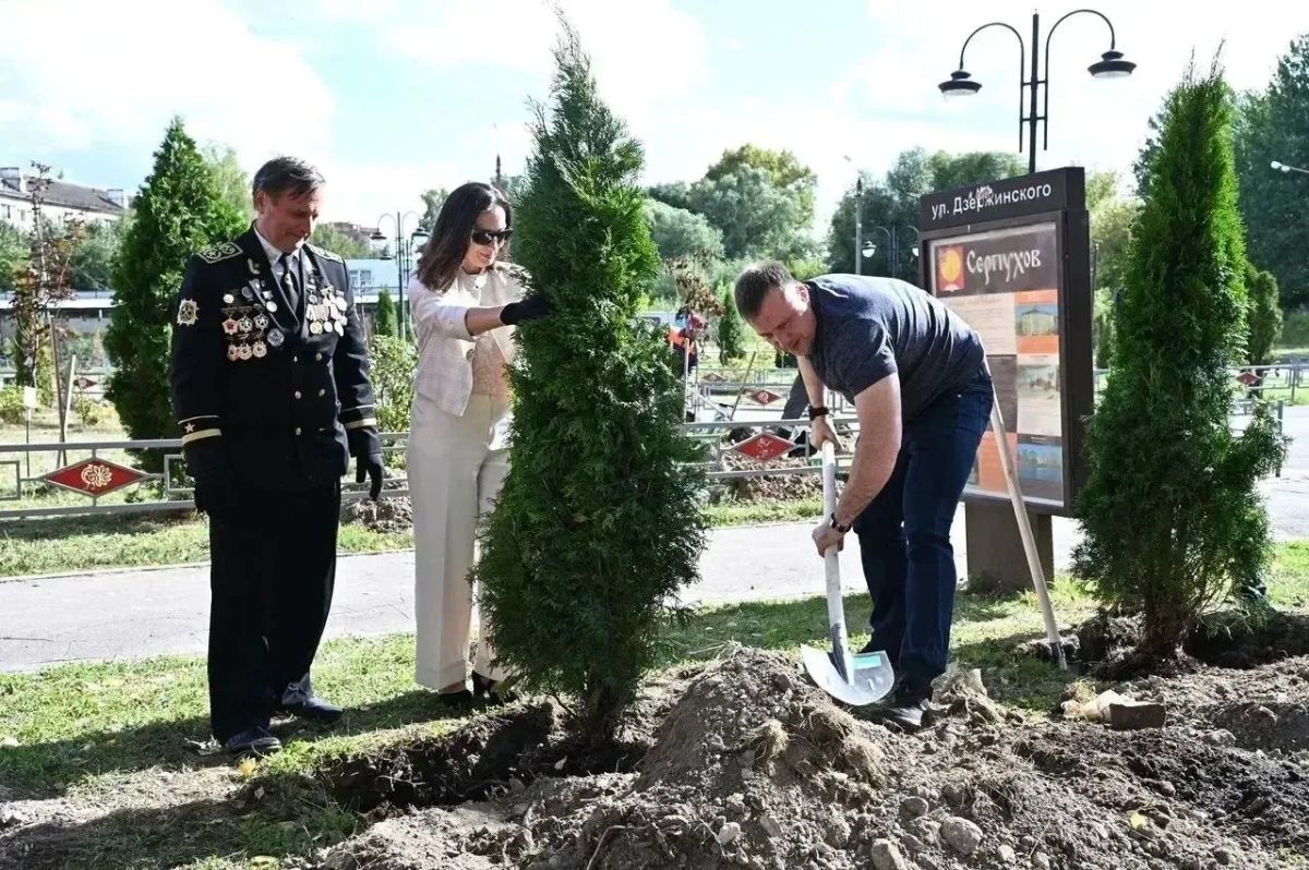 В сквере имени Н.А. Калинина появилась «Аллея науки» В сквере имени Н.А. Калинина появилась «Аллея науки»
