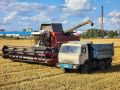 Озимые и яровые культуры: сбор урожая начался в Воскресенске