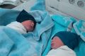 388 двоен и 2 тройни родились в Подмосковье с начала года