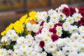 Доброе утро, красногорцы!. Сегодня 4 сентября, пятница