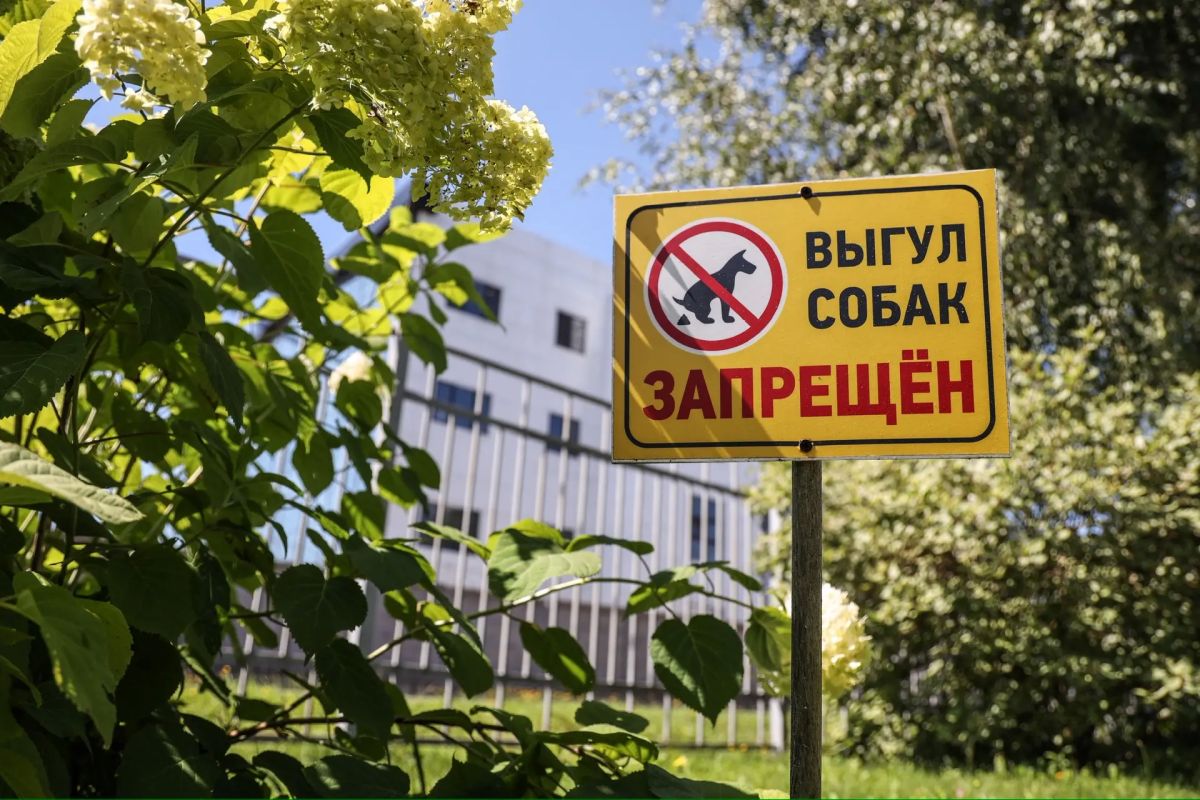 «Не бойтесь, он добрый и не кусается» – знакомая фраза? «Не бойтесь, он добрый и не кусается» – знакомая фраза?
