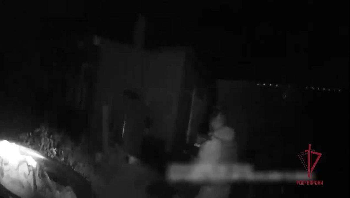 Росгвардейцы задержали мужчину, открывшего стрельбу в Подмосковье