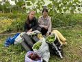 Ученики Емельяновской школы собрали богатый урожай овощей и корнеплодов на пришкольном участке