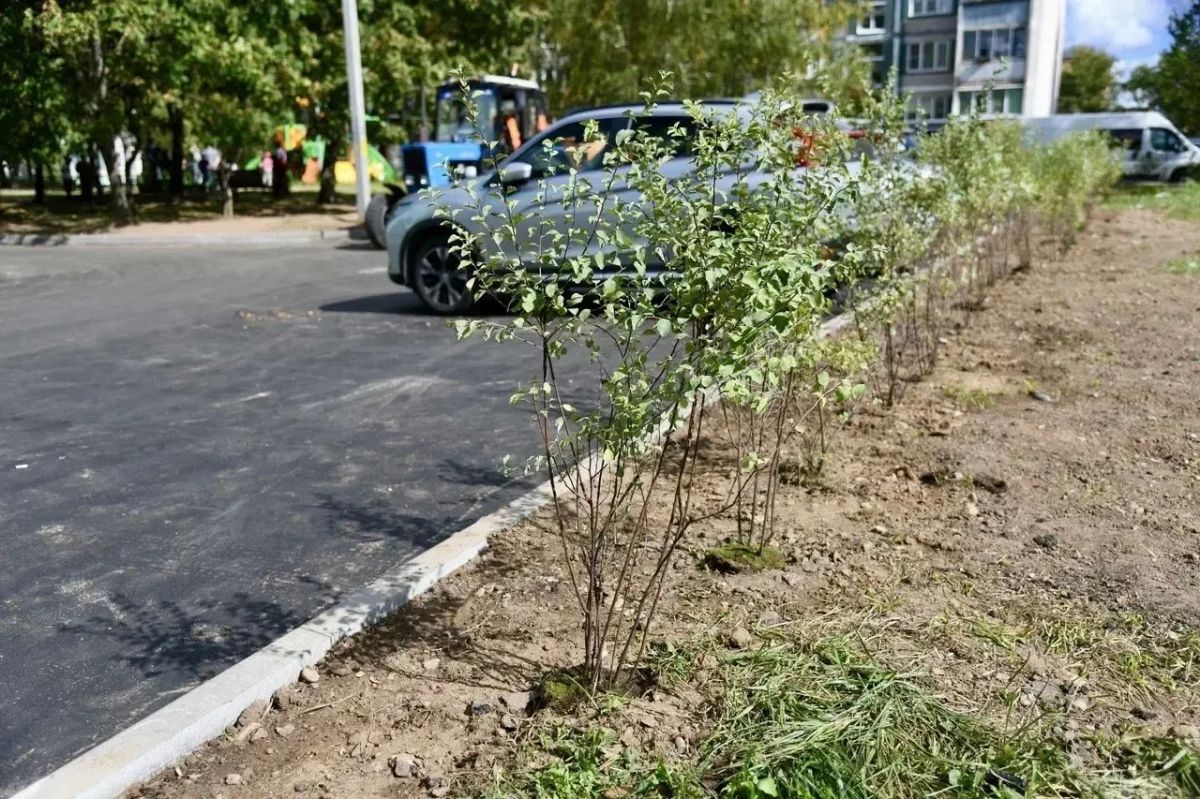 Татьяна Витушева: В деревне Павловское завершаются работы по комплексному благоустройству дворовой территории у домов №№ 14–18 Татьяна Витушева: В деревне Павловское завершаются работы по комплексному благоустройству дворовой территории у домов №№ 14–18