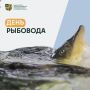 Карп, щука, форель, осётр – всё это выращивают в Подмосковье