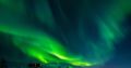 �������� ������ ����� ����� ������� � ���� ��� ������������ ���� �����