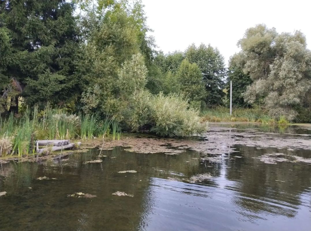 В Ступино продолжаются работы по очистке прудов в рамках областной программы «100 прудов и озёр» В Ступино продолжаются работы по очистке прудов в рамках областной программы «100 прудов и озёр»