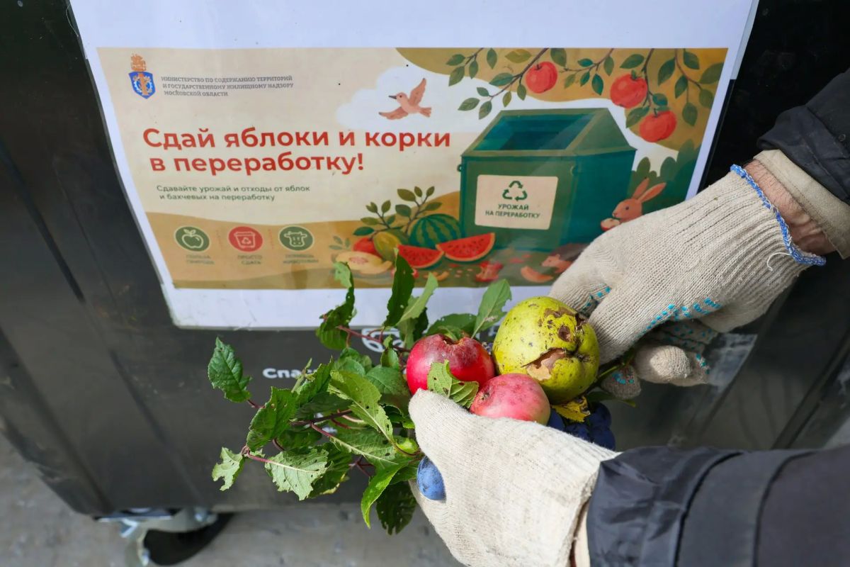 Вторая жизнь урожая: в Мытищах стартовала акция по эко-сбору Вторая жизнь урожая: в Мытищах стартовала акция по эко-сбору