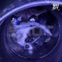 Подольчане организовали целую спасательную операцию ради собаки, застрявшей в трубе
