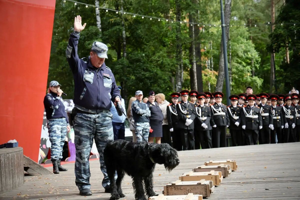 Фестиваль «Полицейская Академия» прошел в честь Дня города в Балашихе Фестиваль «Полицейская Академия» прошел в честь Дня города в Балашихе