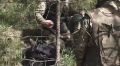 Королёвцы могут заключить контракт на военную службу