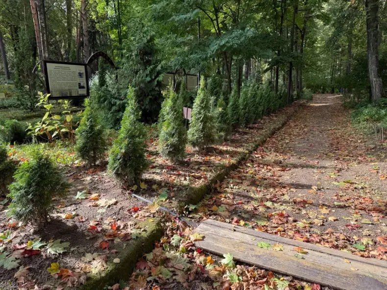 В Ногинске завершили благоустройство Богородского бульвара и парка «Волхонка» по народной программе «Единой России» В Ногинске завершили благоустройство Богородского бульвара и парка «Волхонка» по народной программе «Единой России»