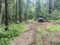 В Чехове привели в порядок противопожарные дороги