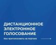 Сегодня последний день, когда можно подать заявку на участие в электронном голосовании
