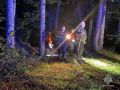 В Подольске спасатели нашли заблудившегося в лесу пенсионера