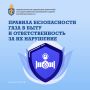 Во избежание несчастных случаев при работе с газовыми приборами необходимо соблюдать определенные правила