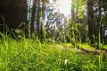 Доброе утро, Подольск!. Сегодня — Международный день охраны озонового слоя: напоминание о том, как важно беречь нашу планету и заботиться об экологии