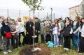 В День города Видного и Ленинского городского округа в жилом комплексе «Зелёные Аллеи» высадили 25 декоративных яблонь сорта «Рудольф» и 40 кедровых сосен