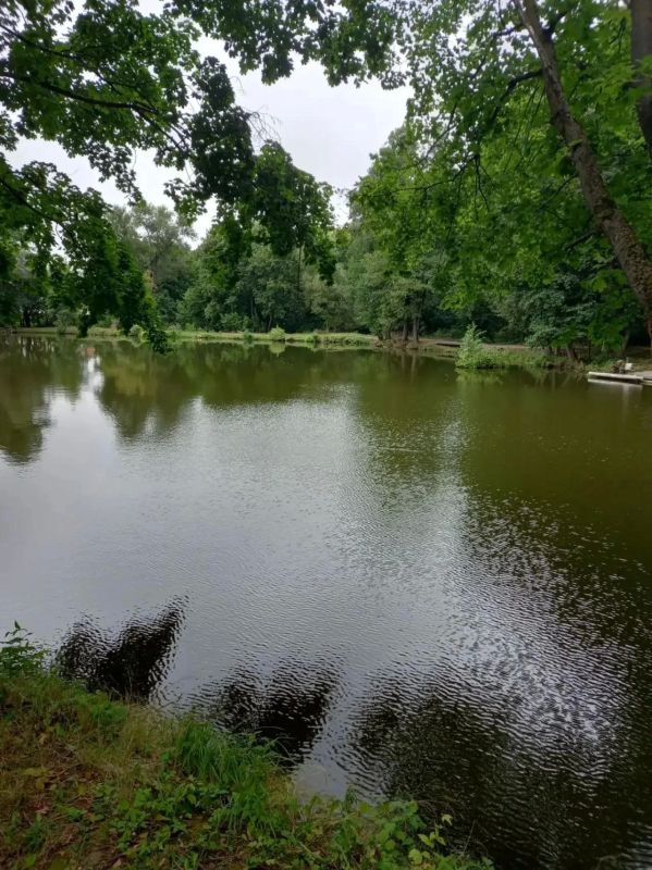 Более пяти гектаров водной глади расчистили в этом году от мусора в Городском округе Коломна Более пяти гектаров водной глади расчистили в этом году от мусора в Городском округе Коломна