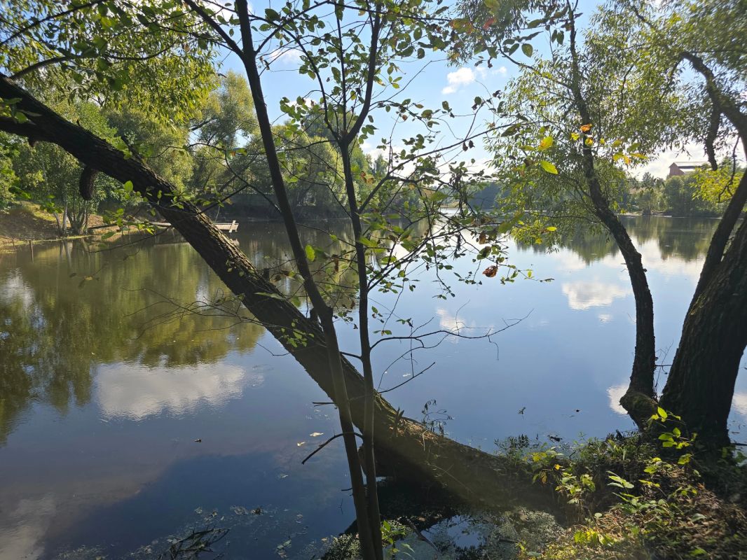 Более пяти гектаров водной глади расчистили в этом году от мусора в Городском округе Коломна