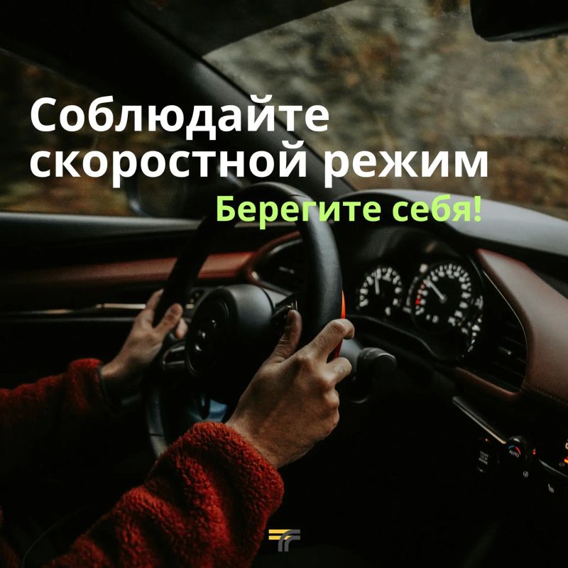 Осень — красивое, но коварное время года для водителей: туман, дождь, падающая листва