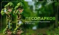 В третью субботу сентября отмечается День лесов Подмосковья