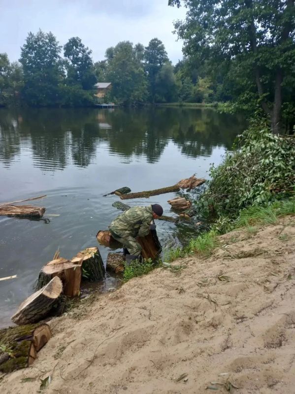 Более пяти гектаров водной глади расчистили в этом году от мусора в Городском округе Коломна Более пяти гектаров водной глади расчистили в этом году от мусора в Городском округе Коломна