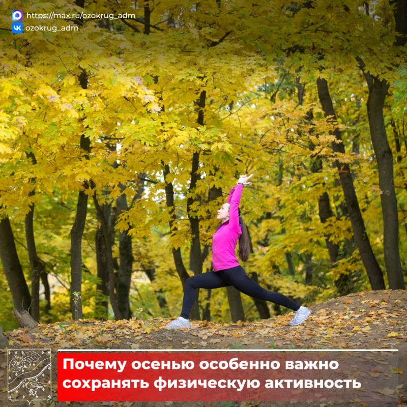 С наступлением осени многие начинают меньше двигаться: прогулки становятся короче, а свободное время все чаще проходит дома