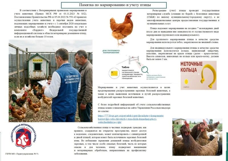 Об учёте сельскохозяйственной птицы в личных подсобных хозяйствах