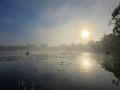 Доброе утро!. Погода на сегодня: дождь, +16…7°С Наслаждайтесь тишиной, вдыхайте свежесть осени и встречайте пятницу с улыбкой