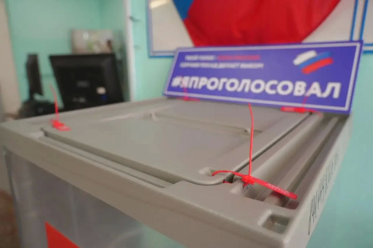 В деревне Селково продолжается голосование на избирательном участке № 2838 В деревне Селково продолжается голосование на избирательном участке № 2838