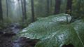 Твой голос – сила России. Приходи на выборы!