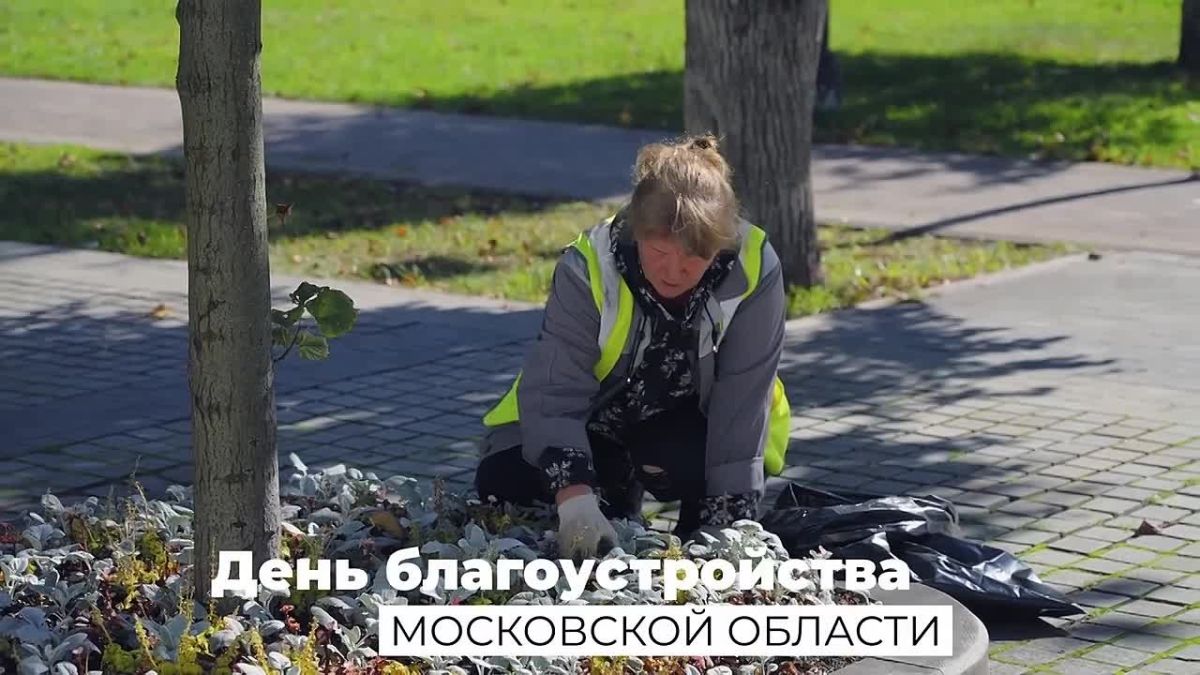 Татьяна Витушева: Удобные дворы, ухоженные парки и скверы, новые места для прогулок — за этими изменениями стоит труд людей, которые сегодня отмечают свой профессиональный праздник - День благоустройства Московской области...