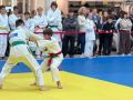 � ������� ��������� ������ �� �����, ������������ 138 ���� ����������� �� �����������