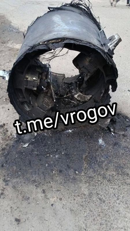 Владимир Рогов: Кадры с обломками сбитой вражеской крылатой ракеты «Фламинго», которые, как сообщается, обнаружили в Ленинском городском округе Московской области Владимир Рогов: Кадры с обломками сбитой вражеской крылатой ракеты «Фламинго», которые, как сообщается, обнаружили в Ленинском городском округе Московской области