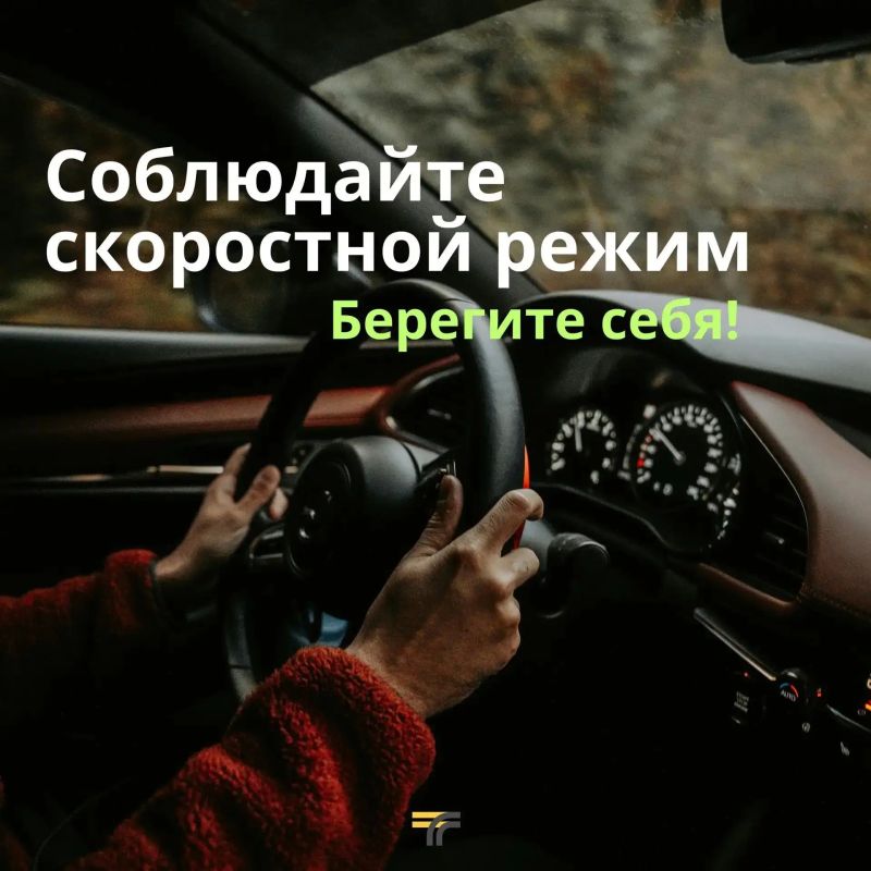 Осень — красивое, но коварное время года для водителей: туман, дождь, падающая листва