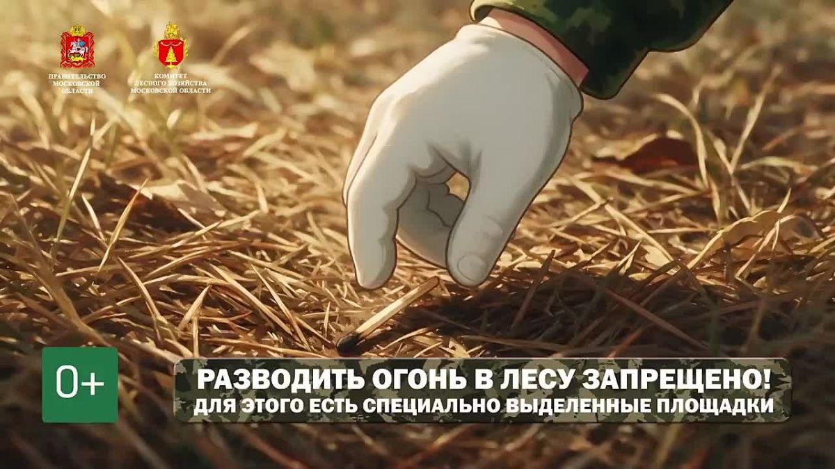 Простые правила от юных лесных инспекторов Подмосковья