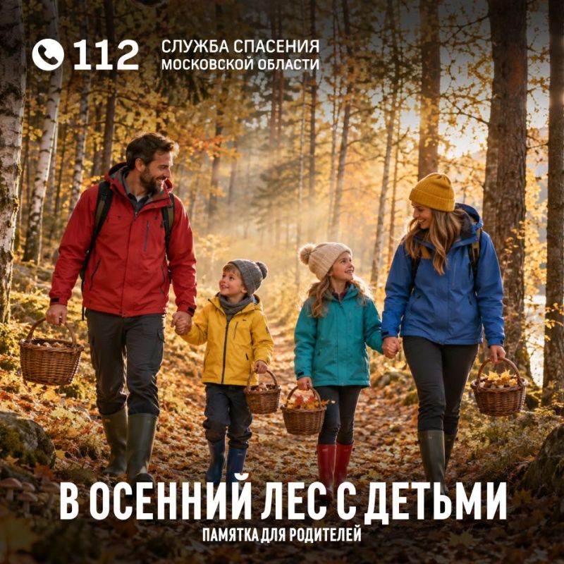 Леса Подмосковья оделись в золото — идеальное время для семейных походов на выходных