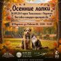 В парке Талалихина пройдёт выставка-пристройство бездомных животных «Осенние лапки»