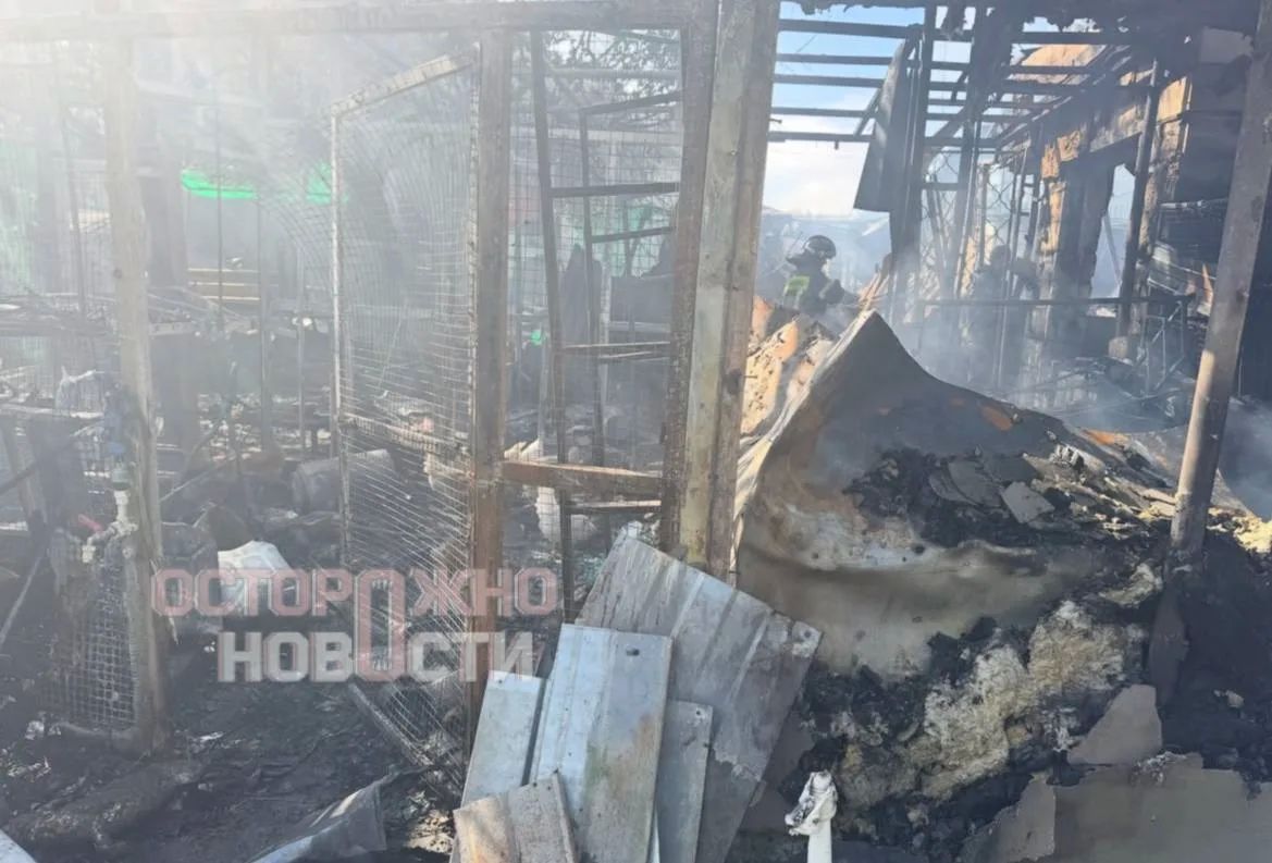 Пенсионеры остались без единственного жилья после атаки БПЛА в Подмосковье Пенсионеры остались без единственного жилья после атаки БПЛА в Подмосковье