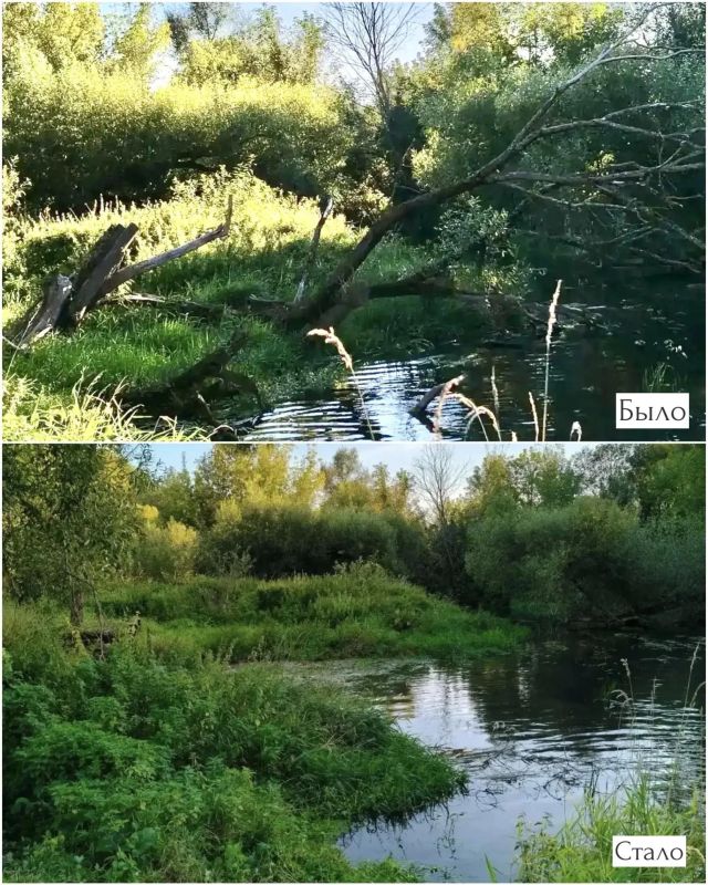 В Дмитровском округе продолжаются масштабные работы по очистке водных объектов В Дмитровском округе продолжаются масштабные работы по очистке водных объектов