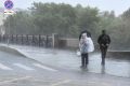 «Жёлтый» уровень опасности вводят в Московской области до 19:00 из-за грозы с дождём в отдельных районах