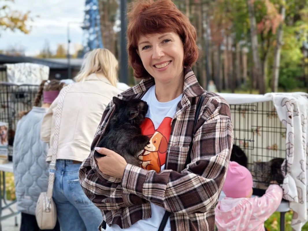 В парке «Дубрава» прошла выставка-пристройство питомцев