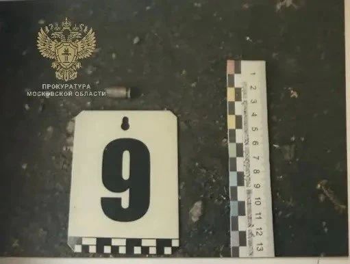 Завершено расследование уголовного дела об убийстве директора лицея №10 им. Ю.А. Гагарина Вадима Мениса, совершённом 23 года назад