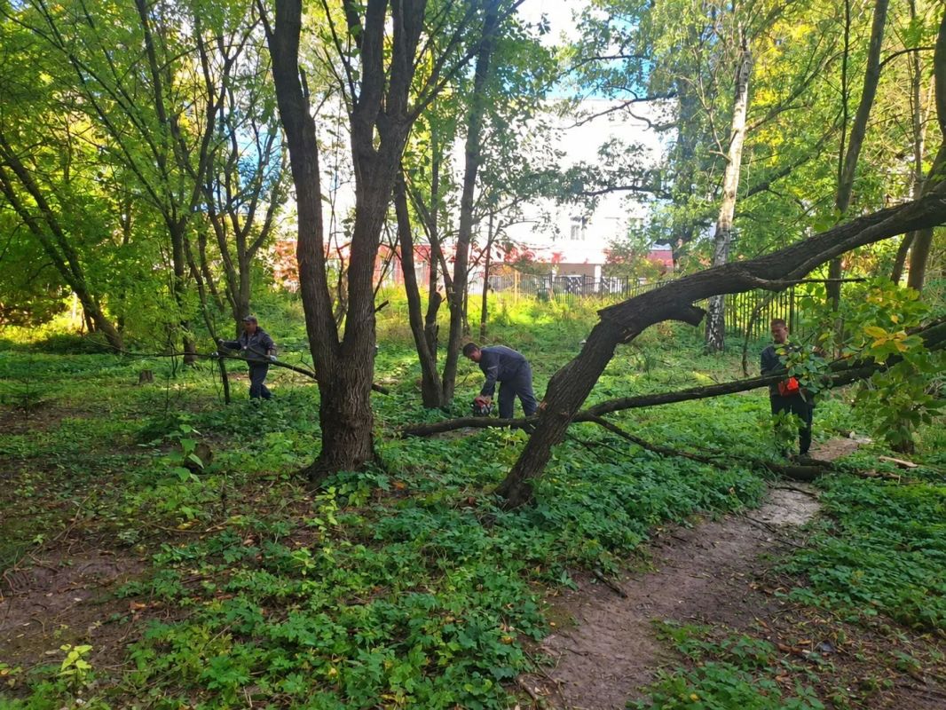 #Красногорск С каждым днем чище! #Красногорск С каждым днем чище!