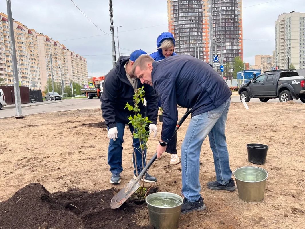 «Сирень Победы» успешно прижилась в Долгопрудном «Сирень Победы» успешно прижилась в Долгопрудном